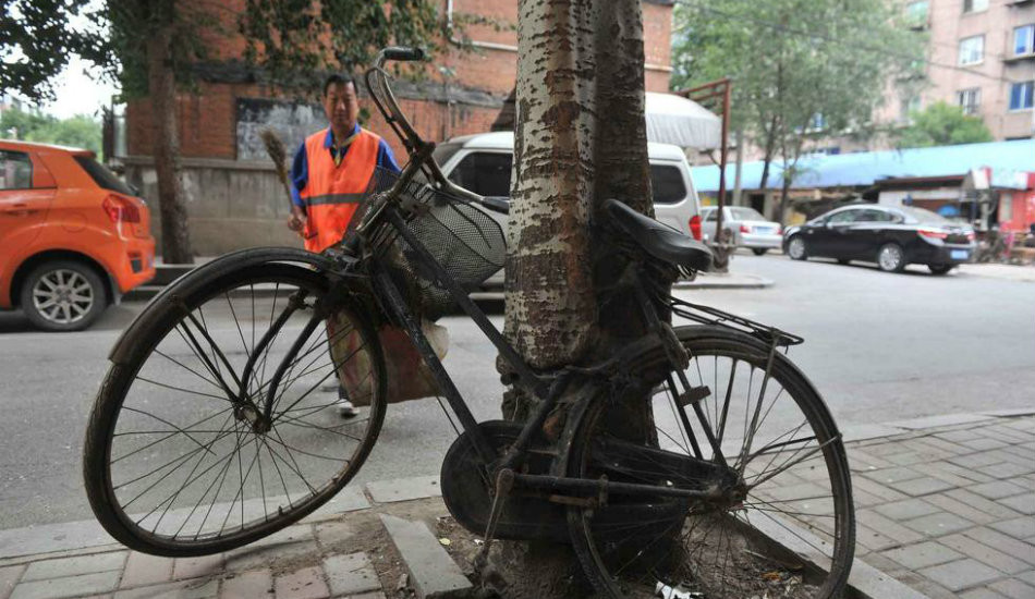 old-bike-in-tree-China-01-950x550.jpg