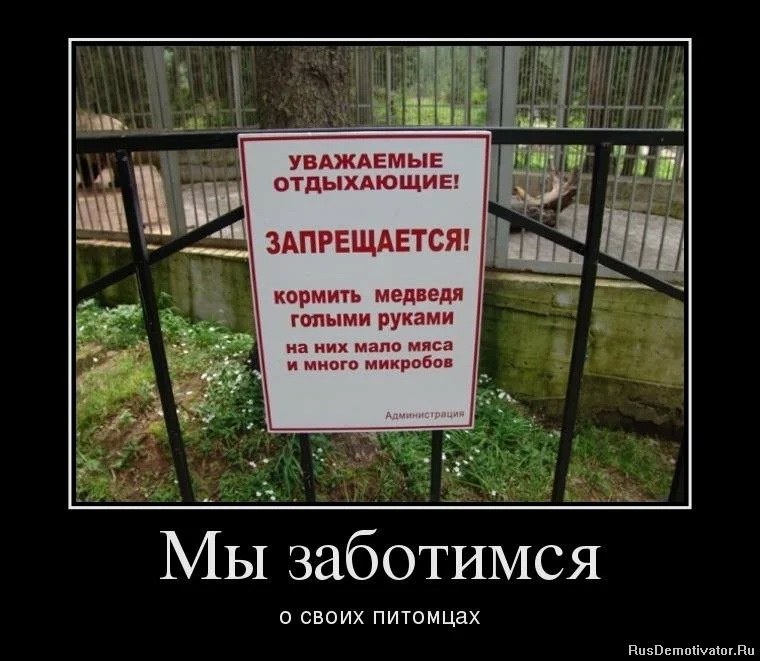 олдж.jpg
