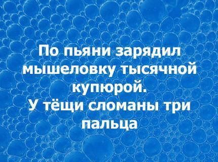 олн.jpg