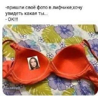 олрп.jpeg