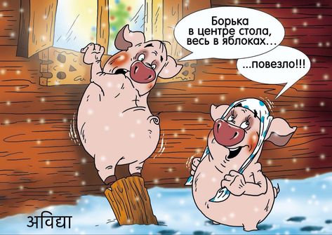 олрп.jpg
