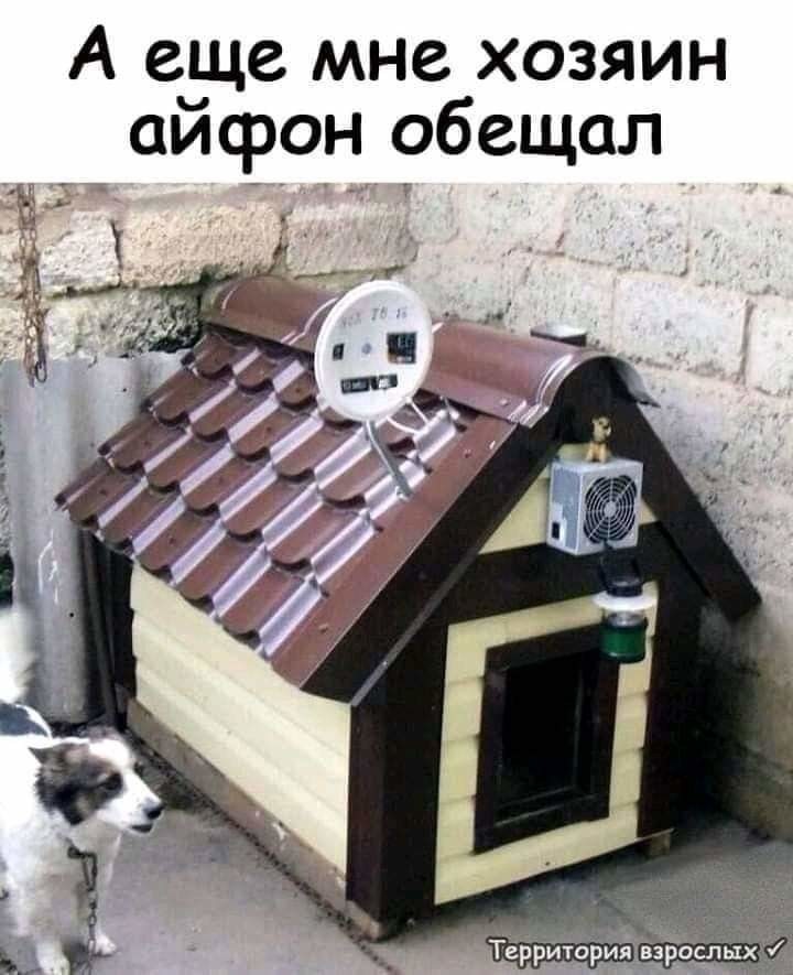 оопр.jpg
