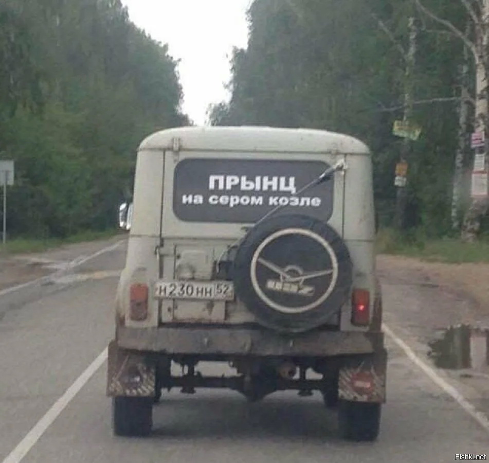 опа.jpg