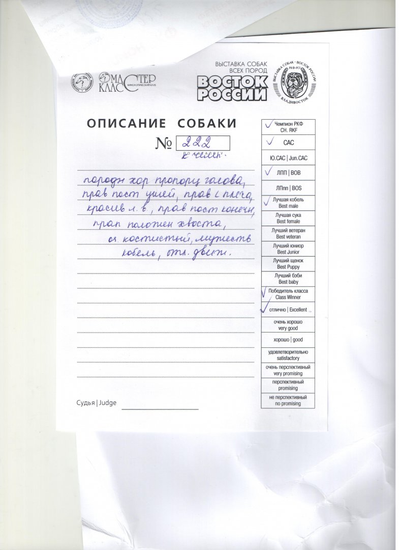 описание.jpeg