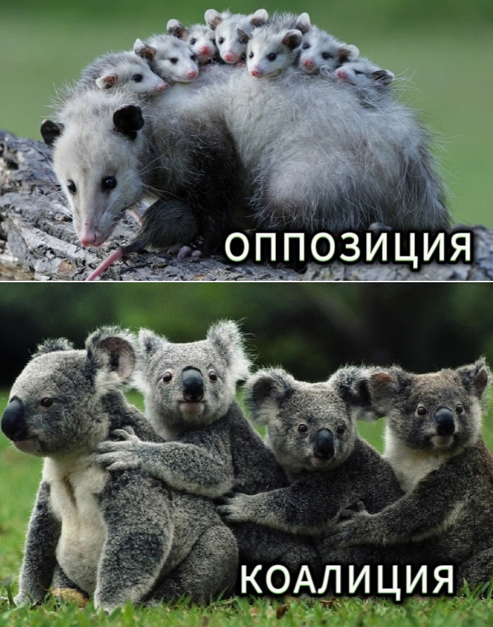 Оппозиция.jpg