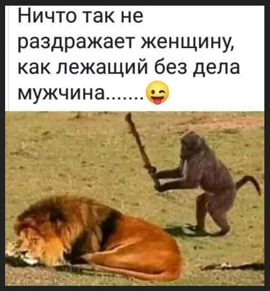 опр.jpg