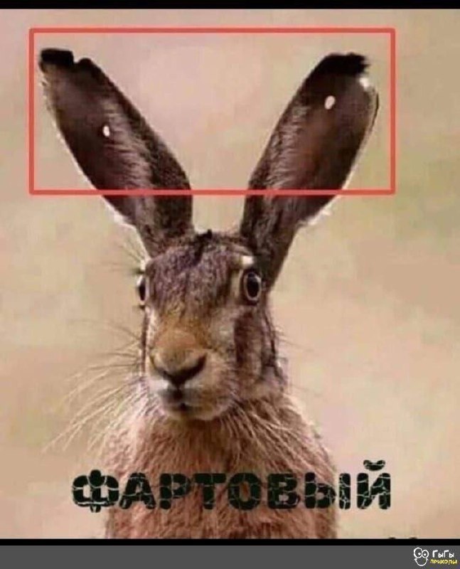 ор.jpeg