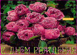 orig (1).gif