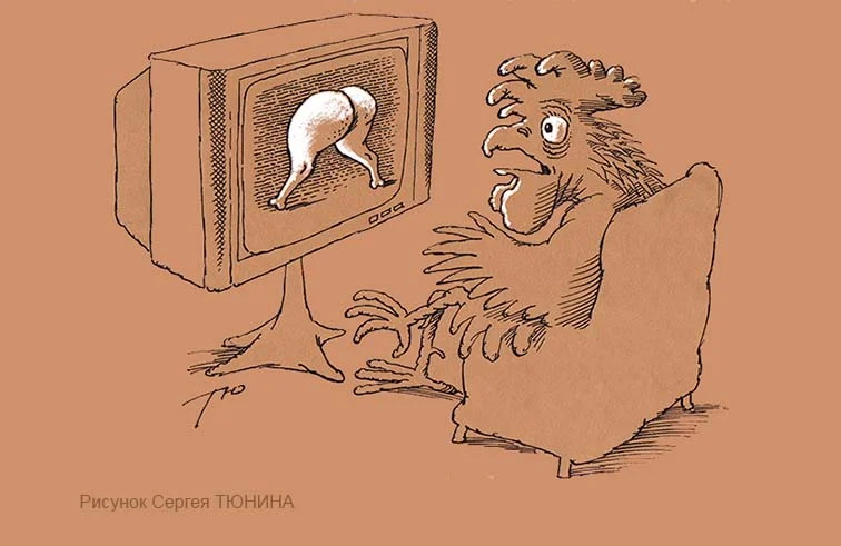 орлп.jpg