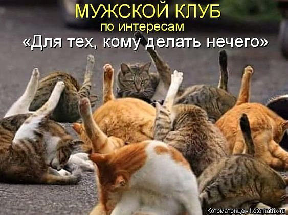 оро.jpg