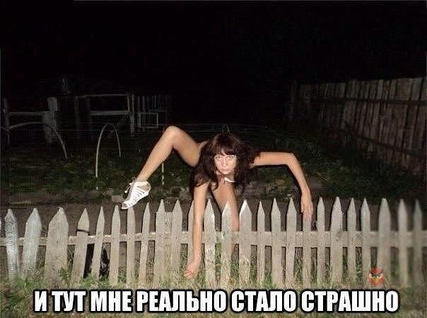 орро.jpg