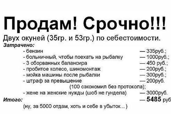 oXidLrKqtvY.jpg