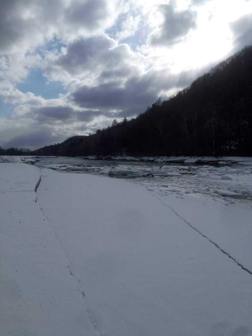 P01228-104946[1].jpg