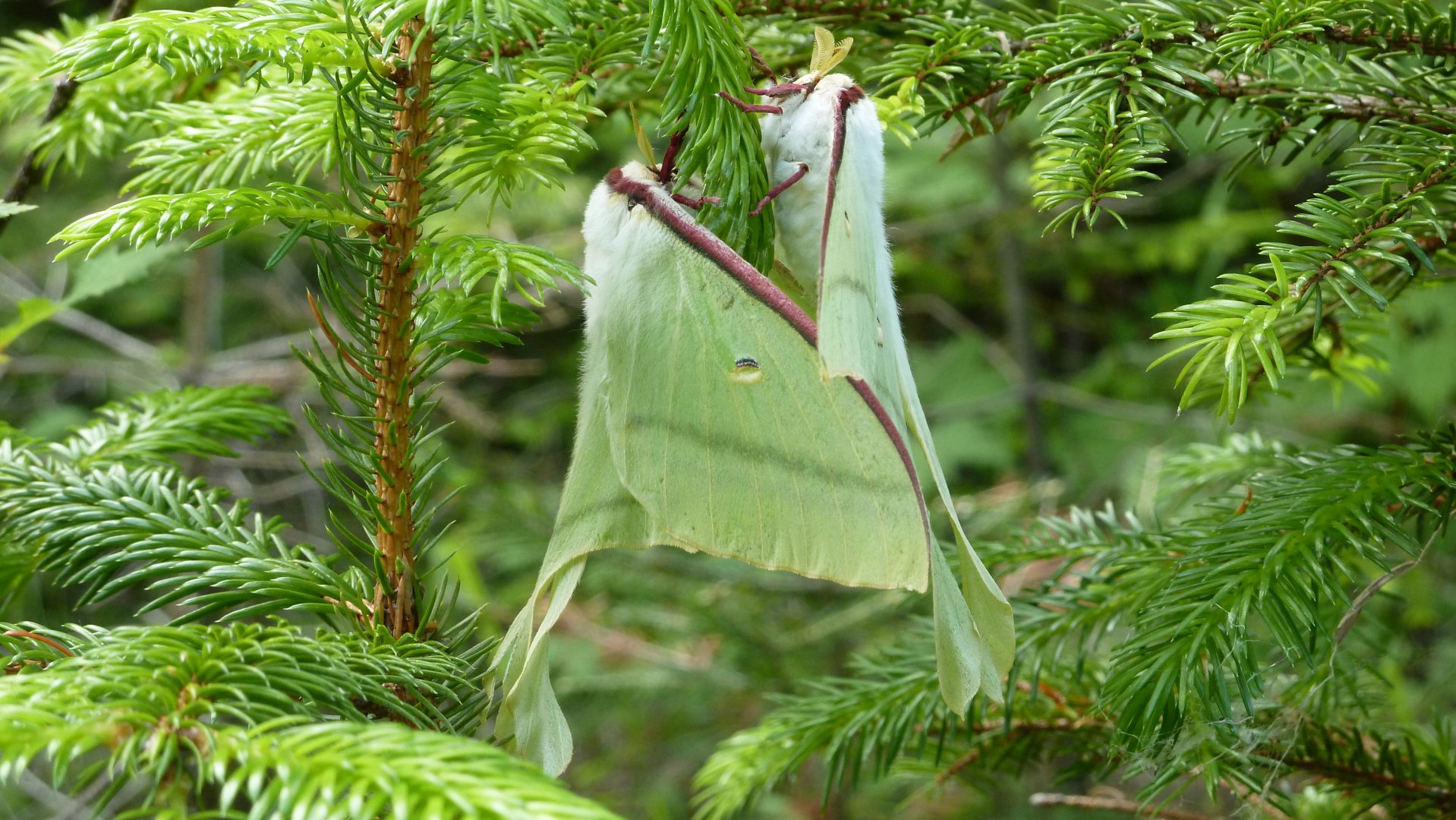 P1000248.JPG