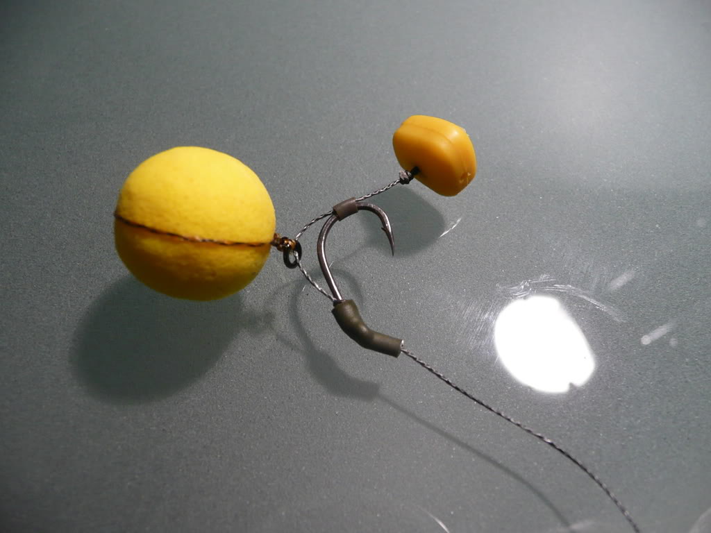 P1000488.jpg