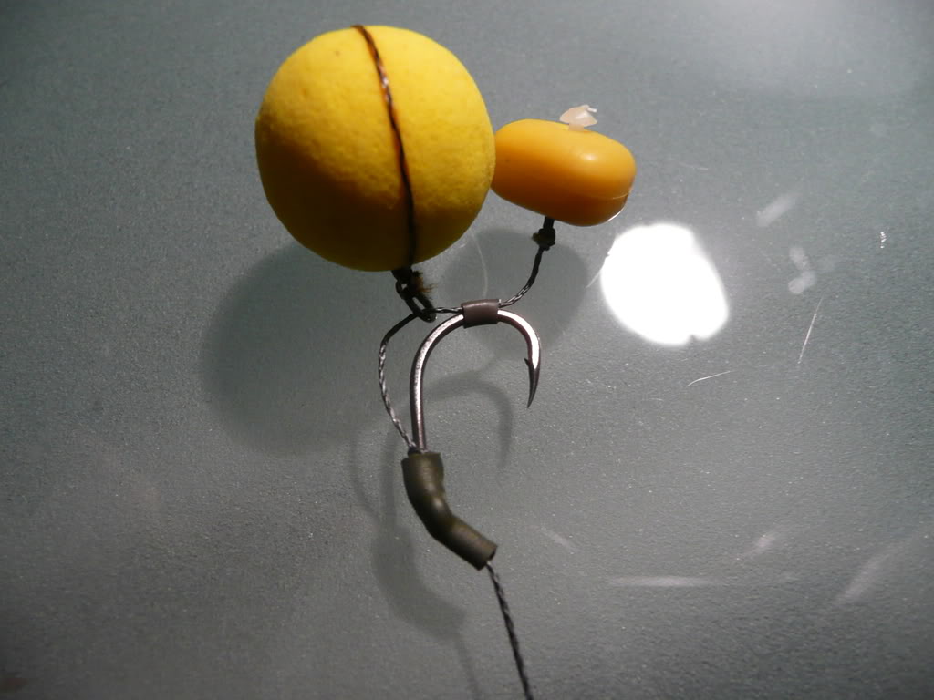 P1000491.jpg