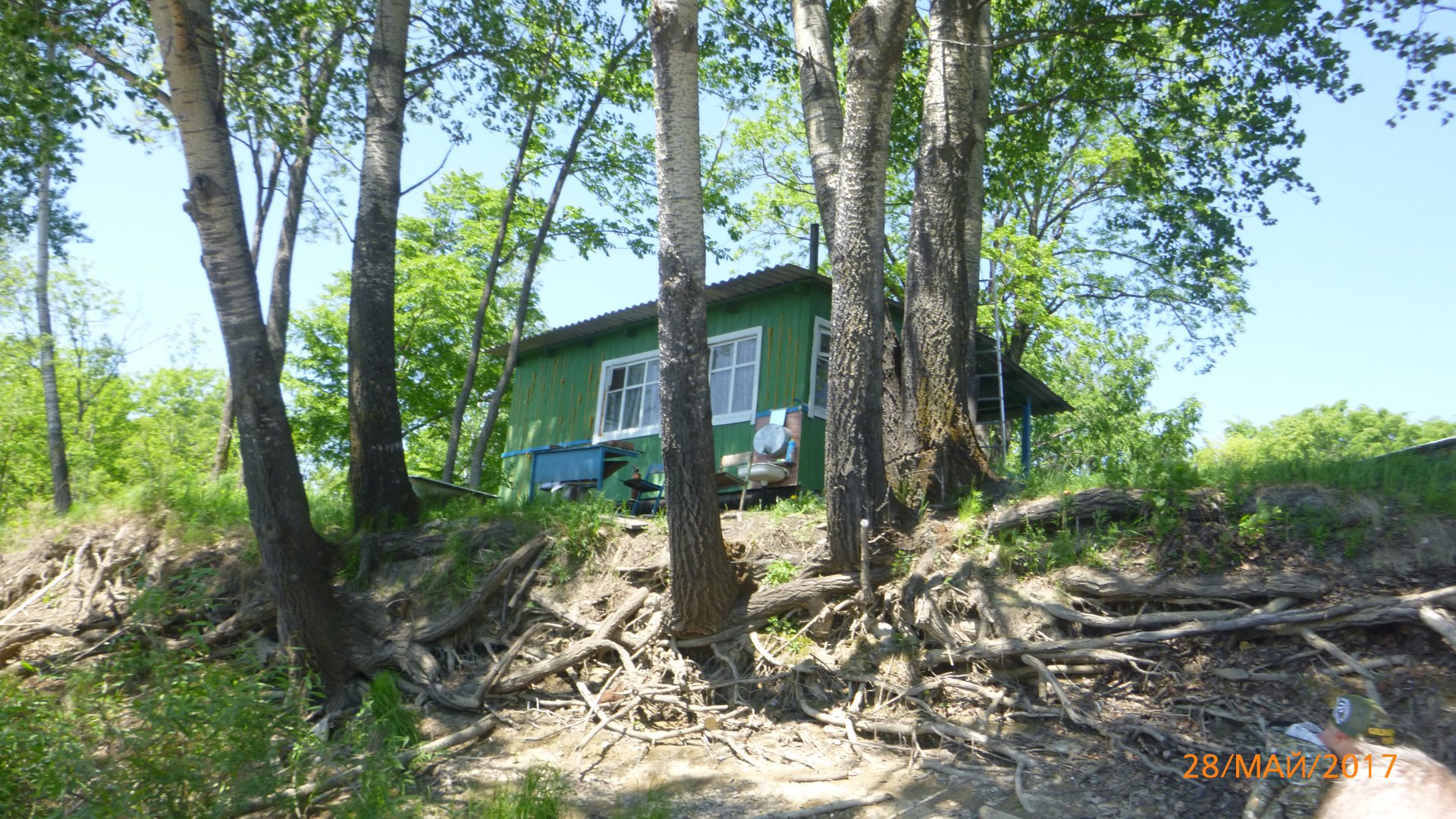 P1000503.JPG