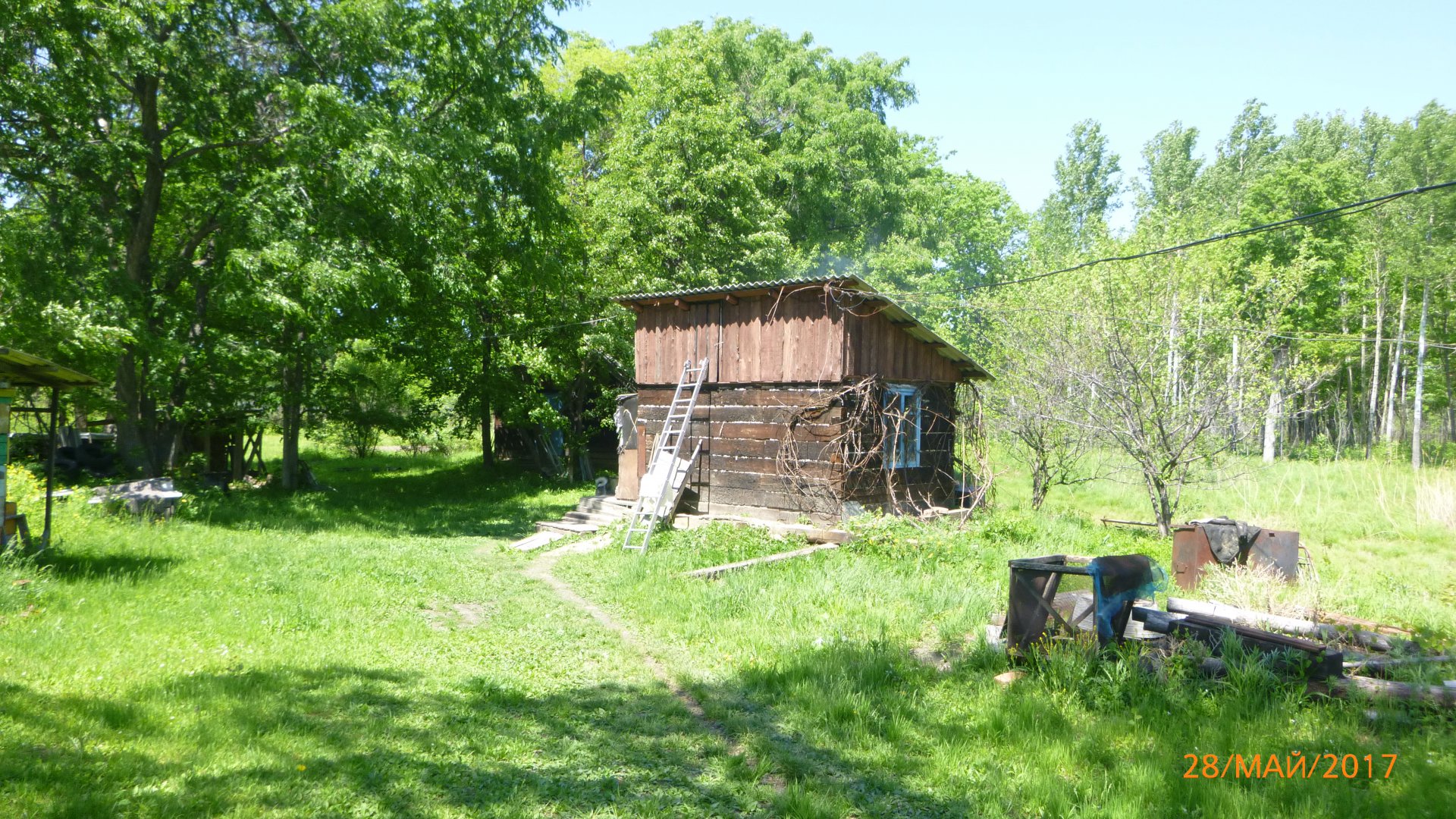 P1000522.JPG