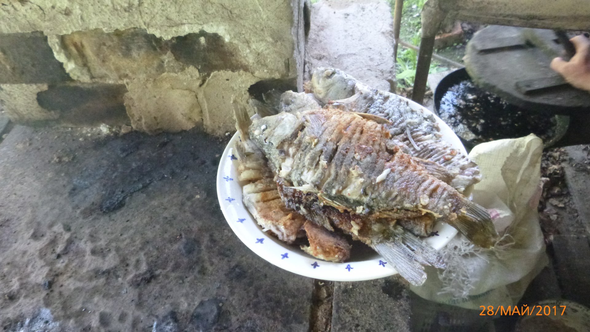 P1000531.JPG