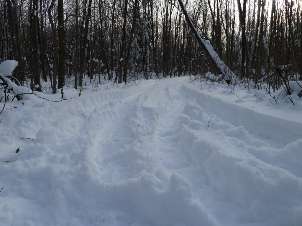 P1000570.JPG
