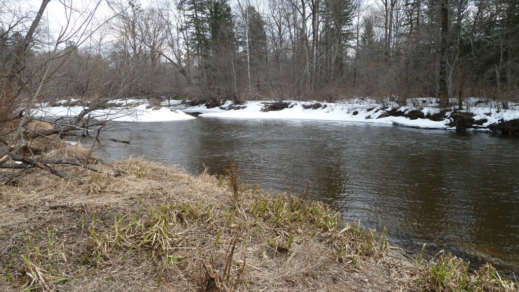 P1000575.JPG