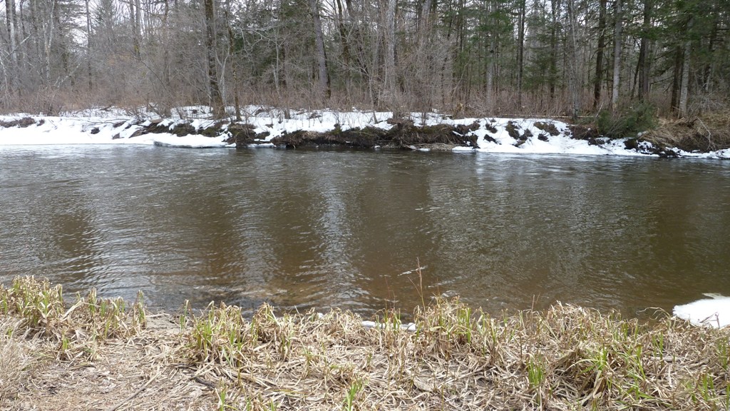 P1000576.JPG