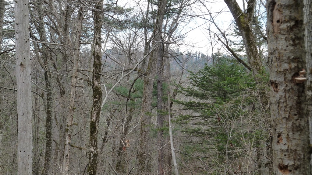 P1000599.JPG