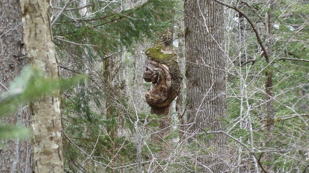 P1000600.JPG