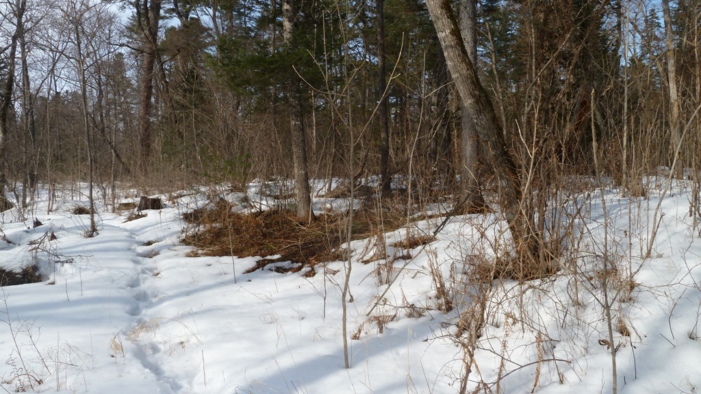 P1000636.JPG