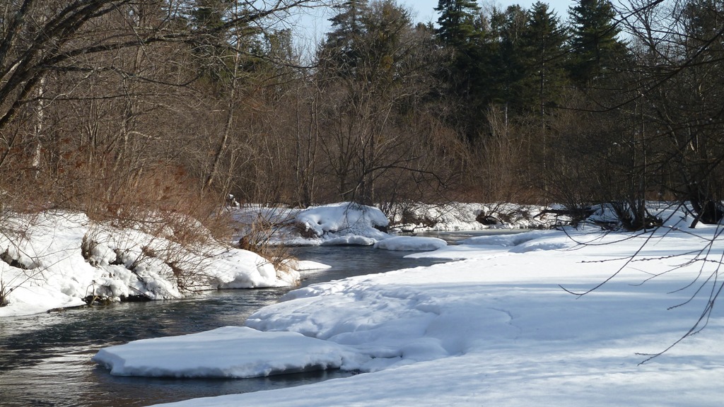 P1000743.JPG