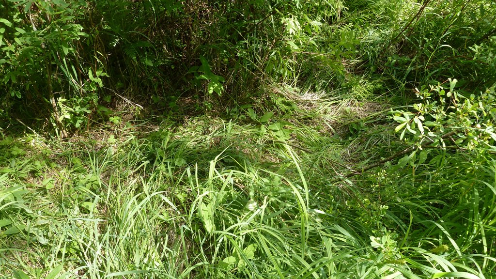P1000766.JPG