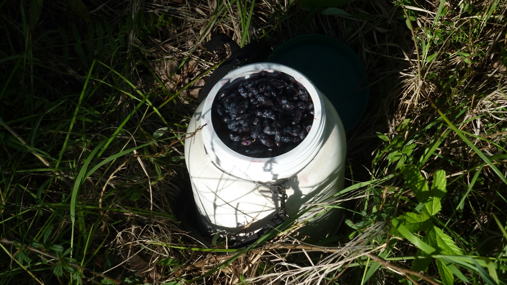 P1000771.JPG