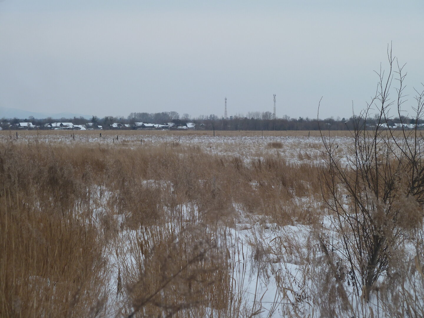P1000910.JPG