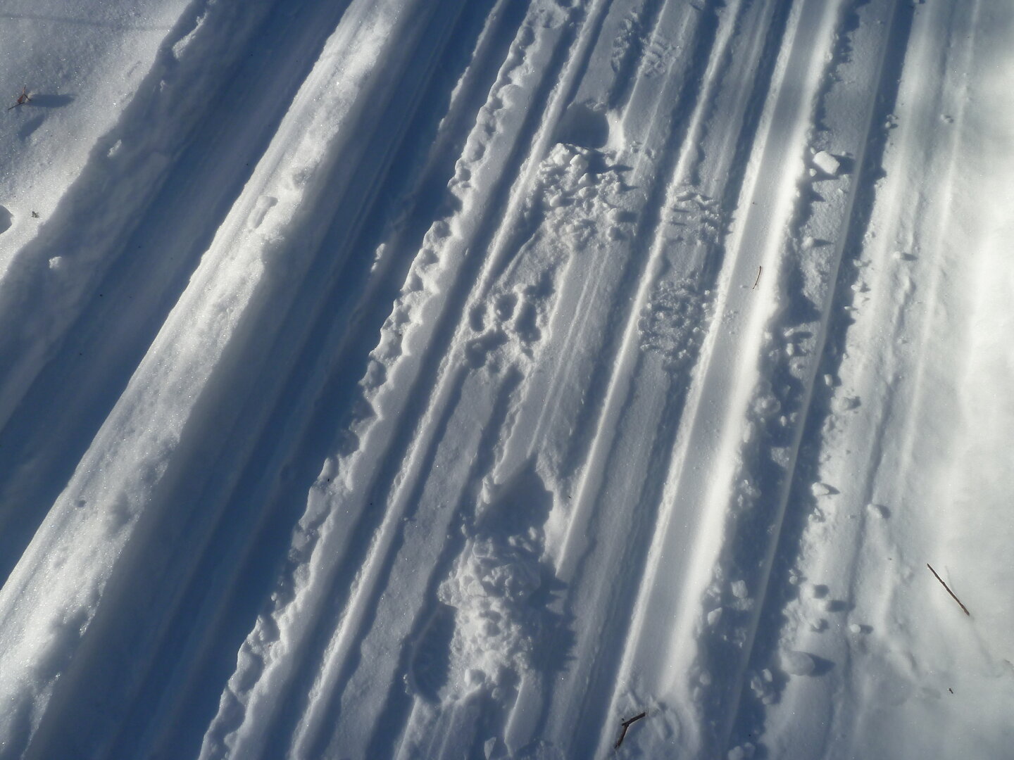 P1000919.JPG