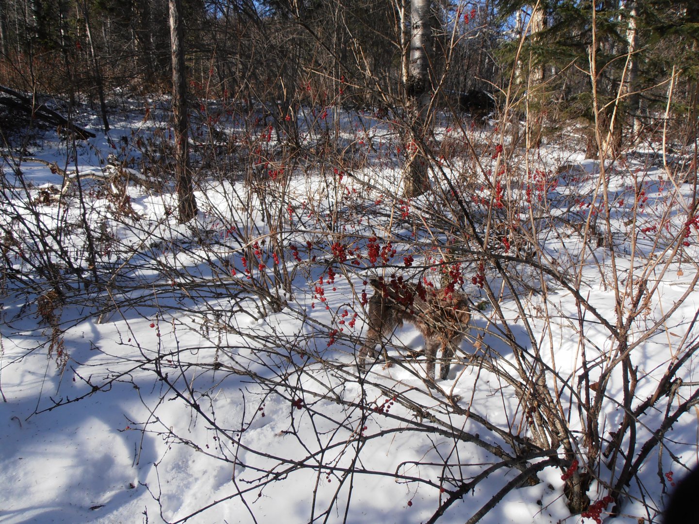 P1010016.JPG