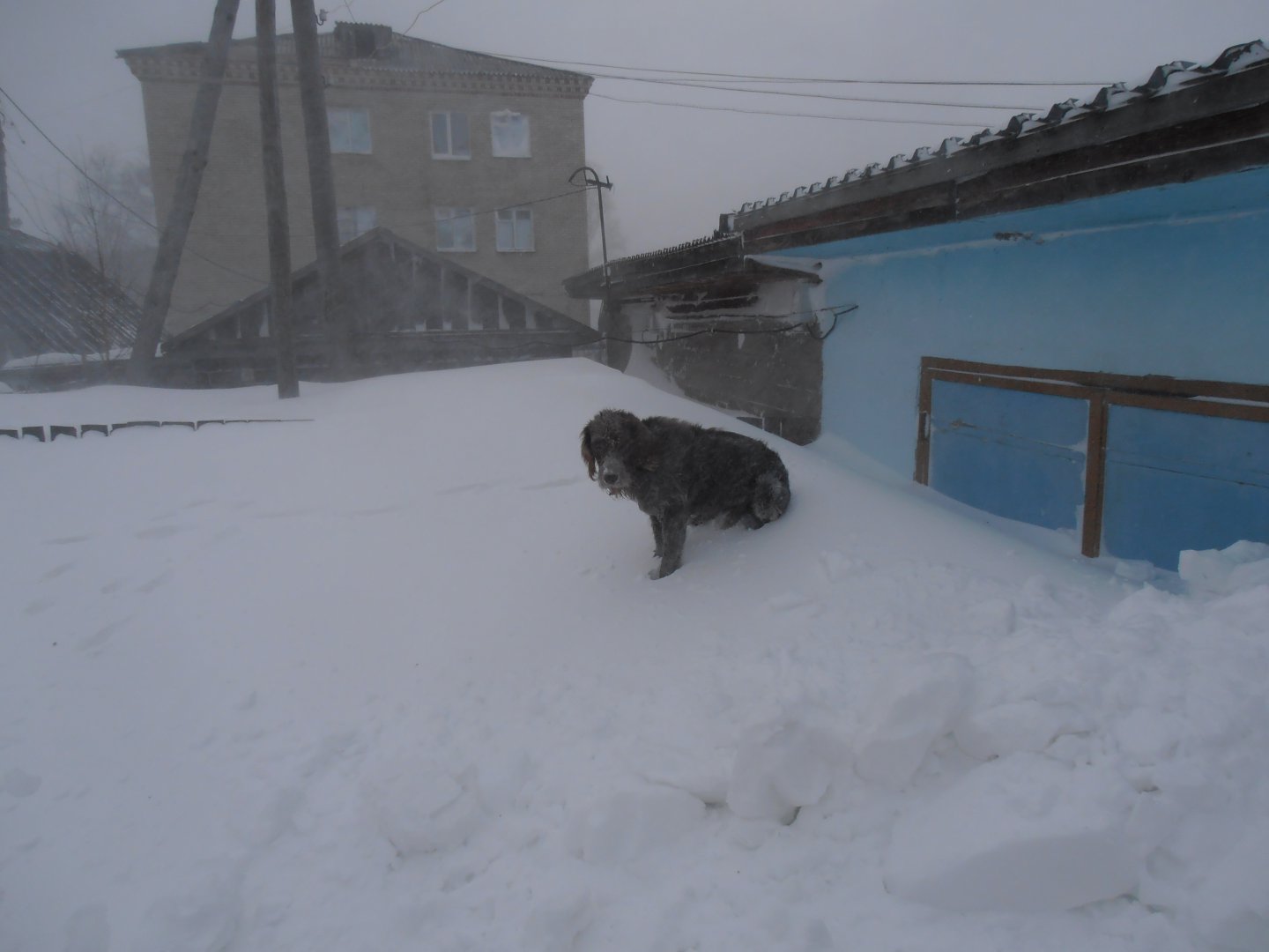 P1010036.JPG
