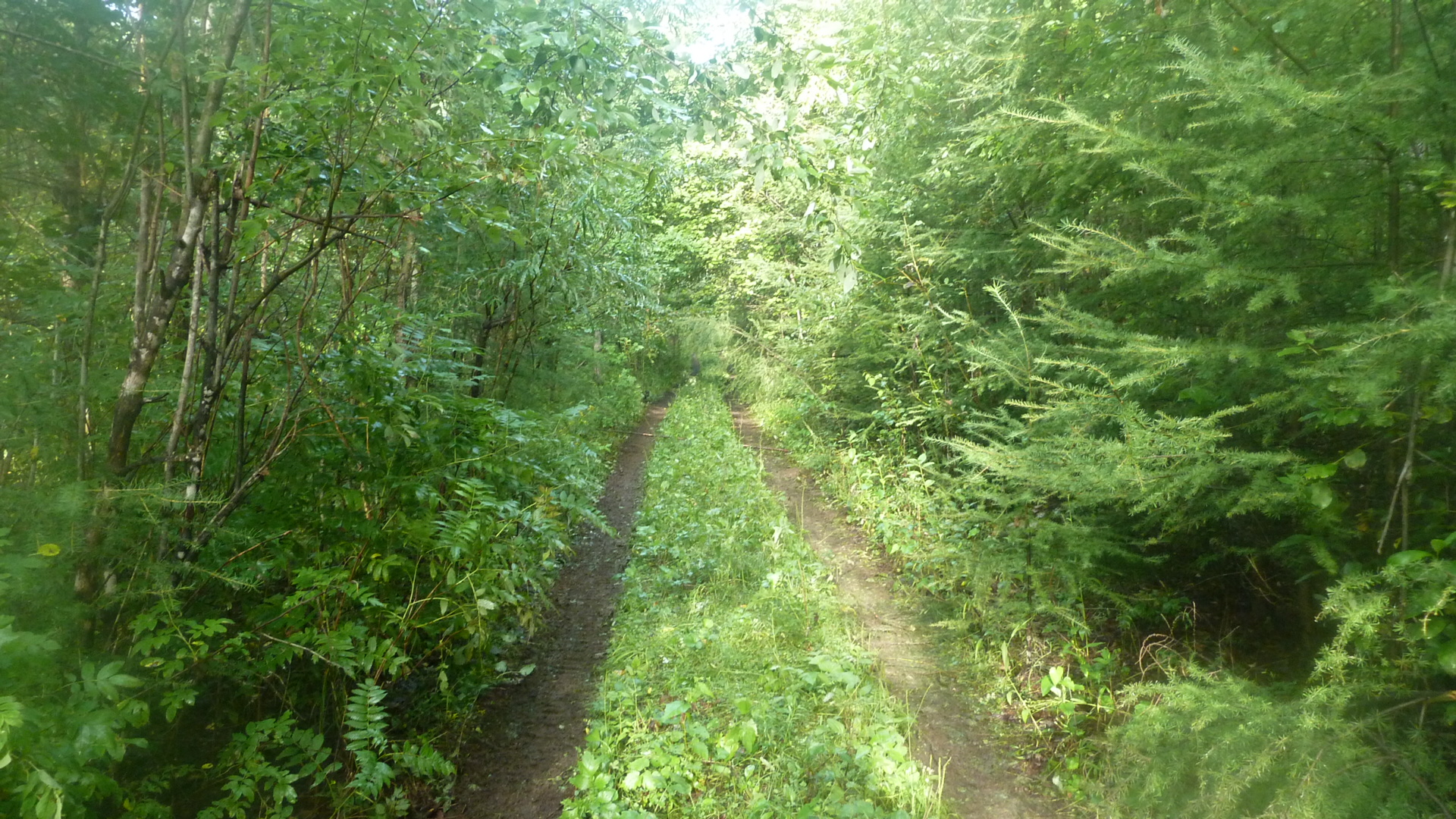 P1010045.JPG