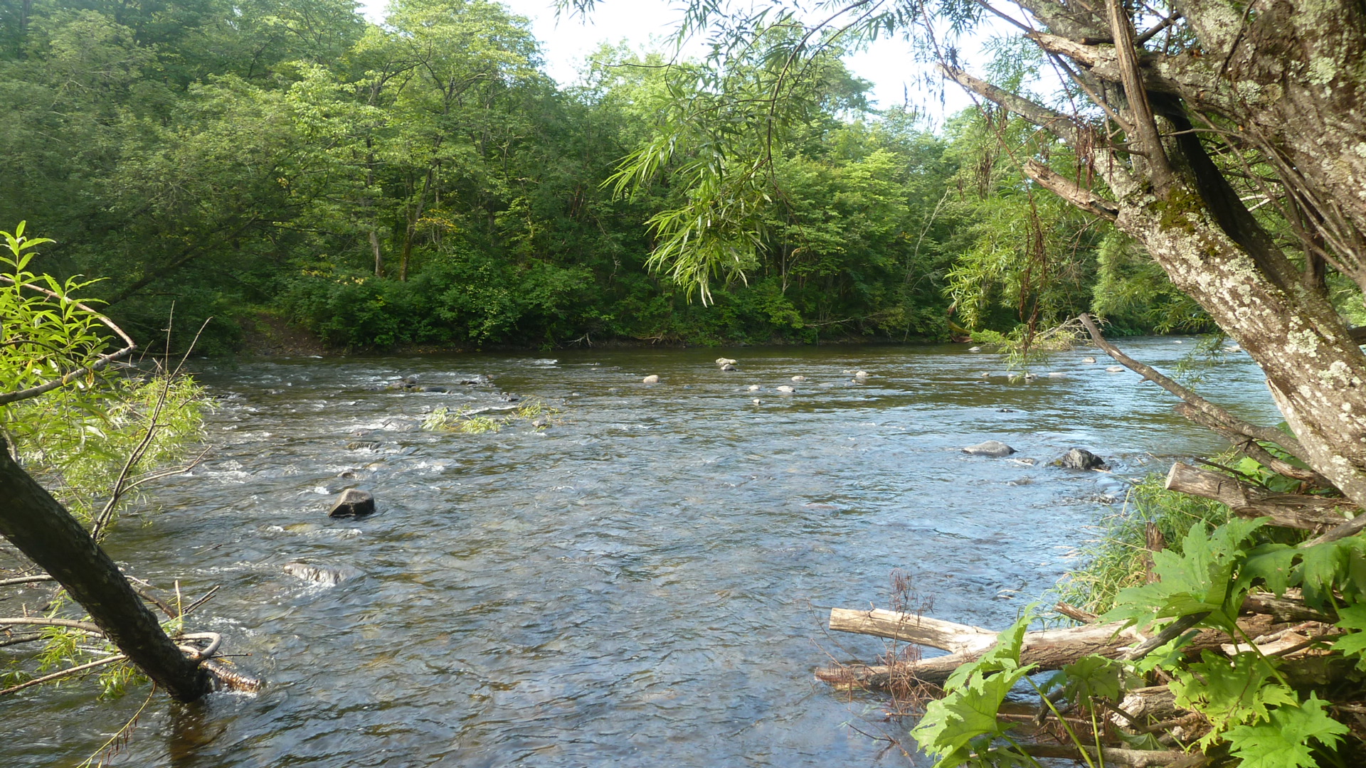 P1010046.JPG