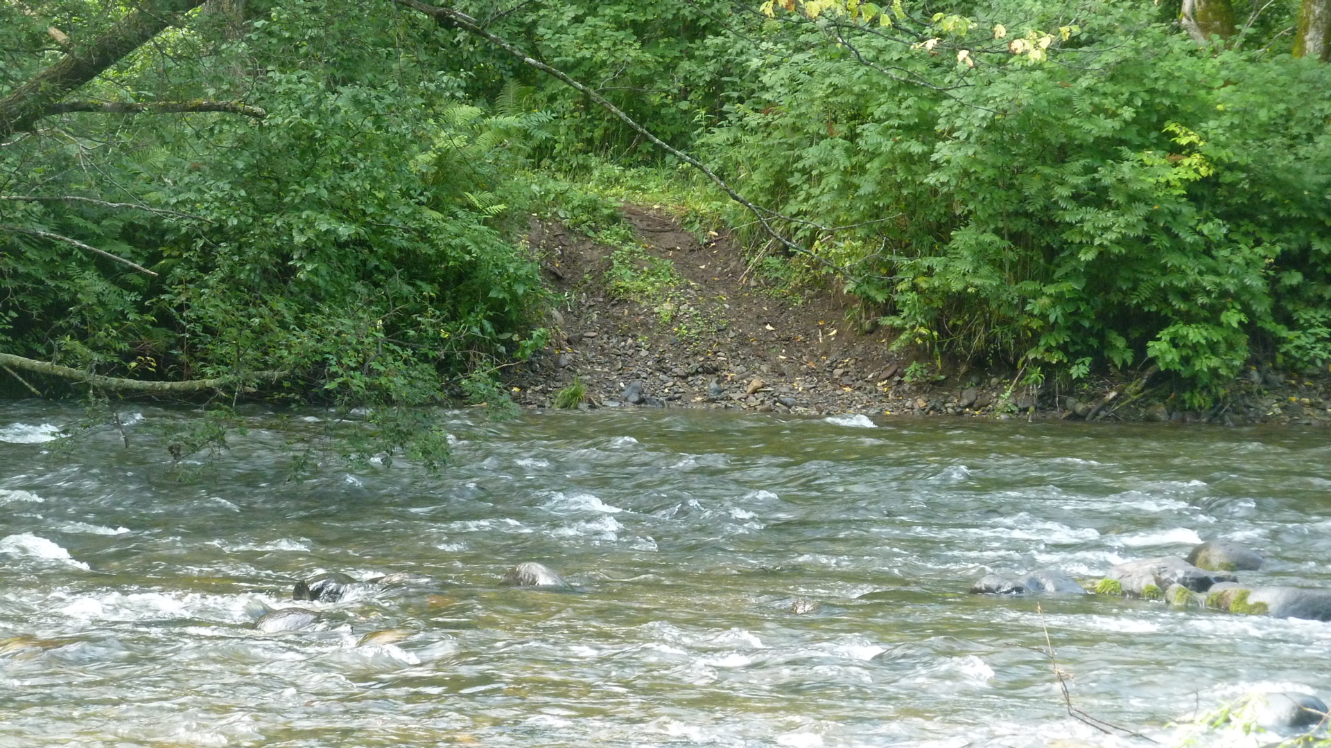 P1010047.JPG