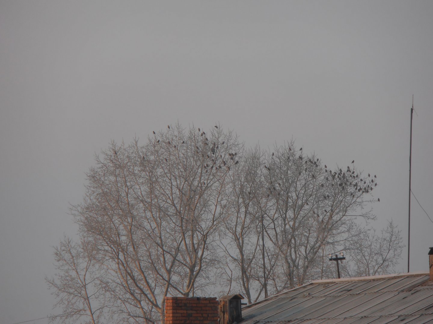 P1010053.JPG