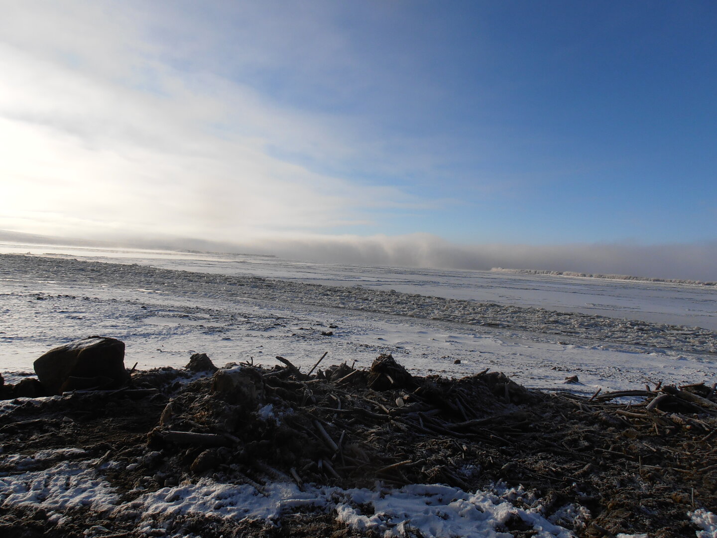 P1010077.JPG