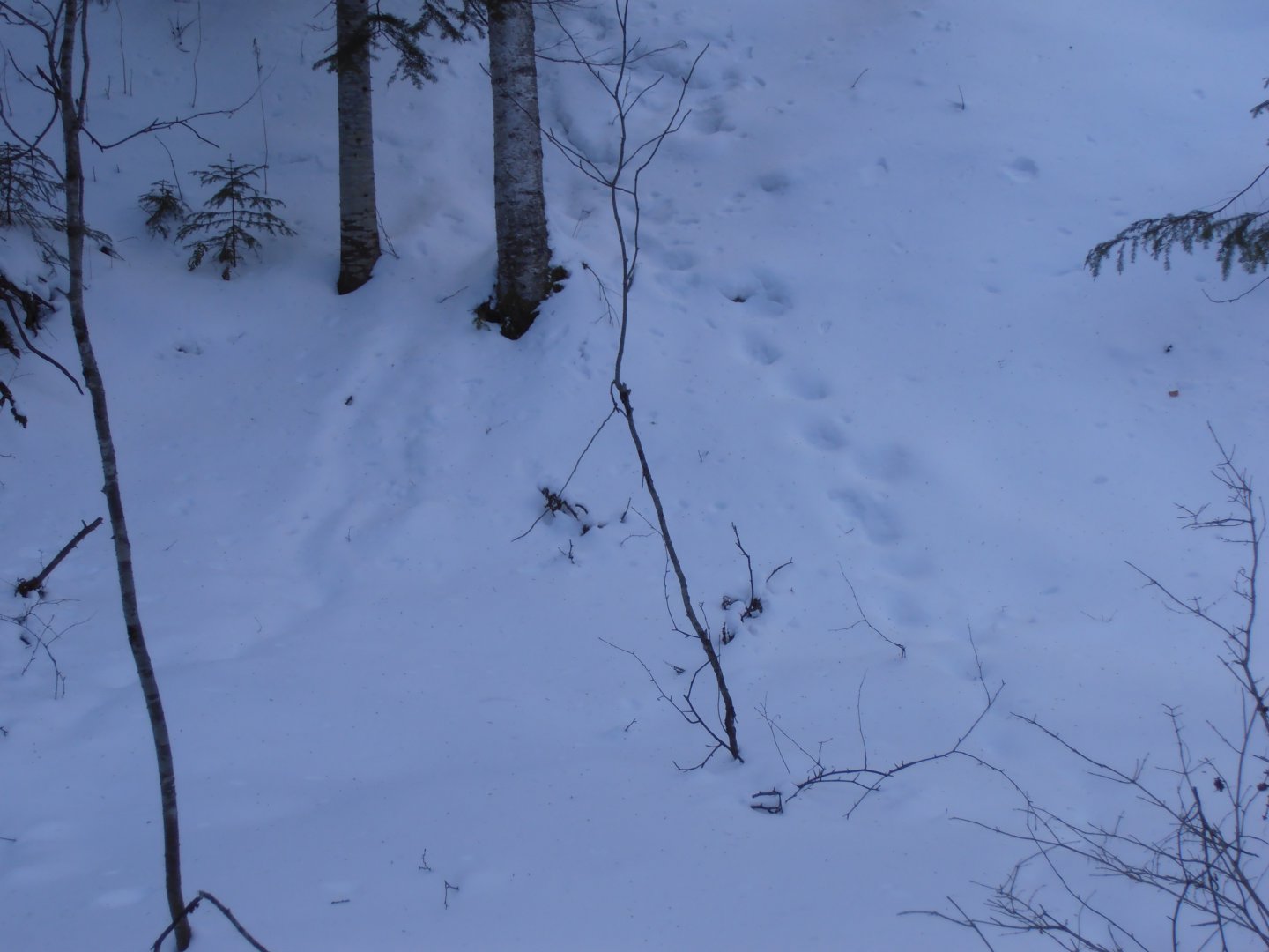 P1010094.JPG