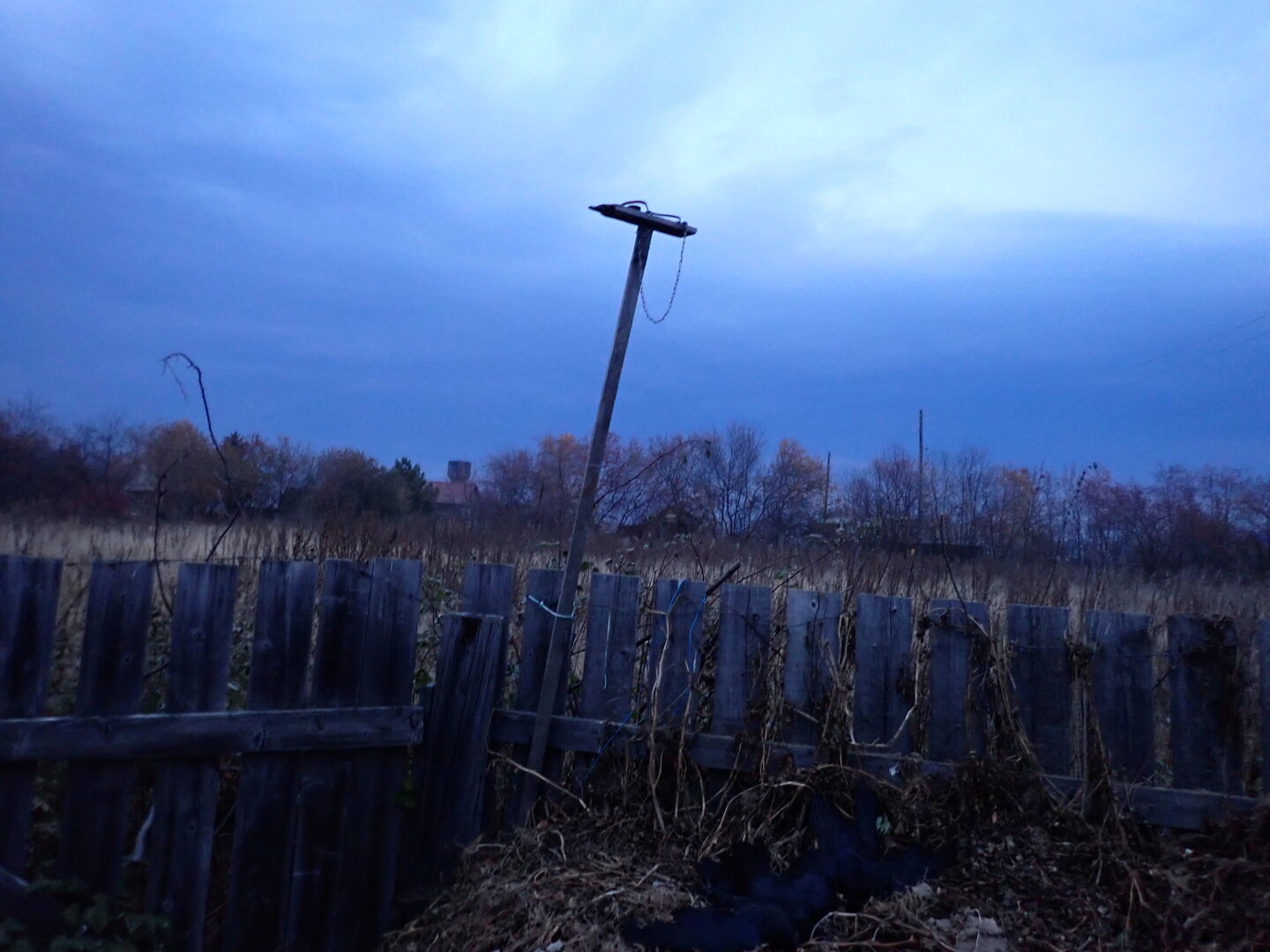P1010218.JPG