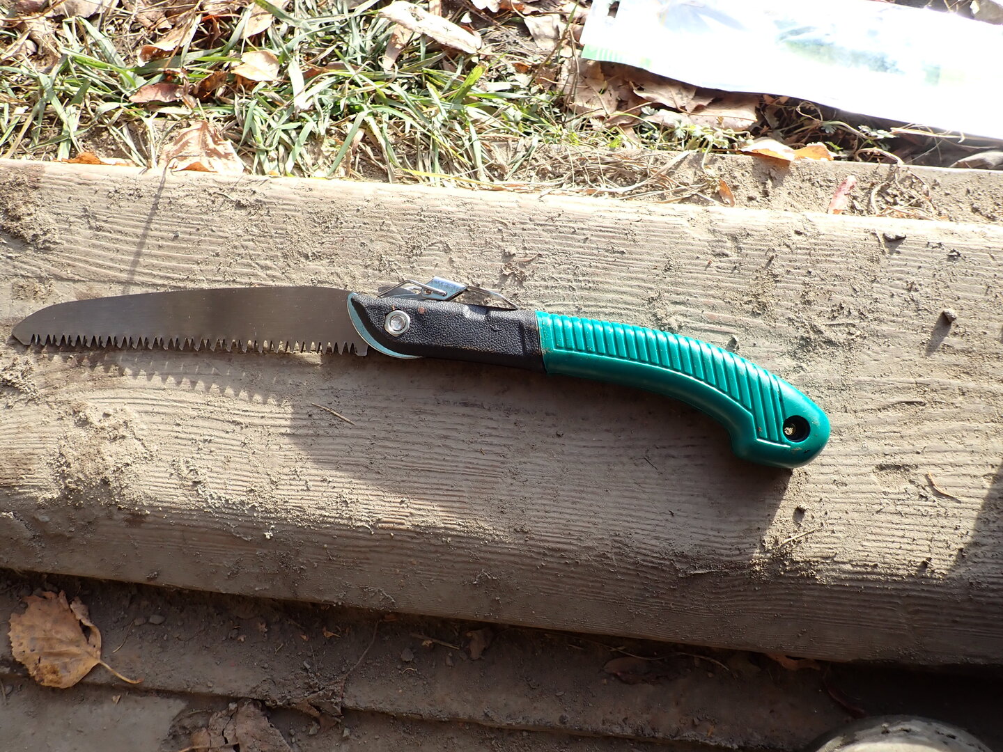 P1010231.JPG