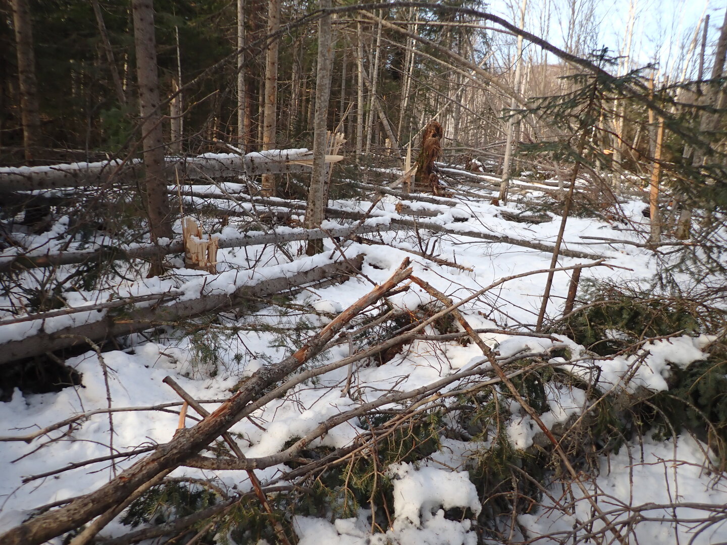 P1010244.JPG