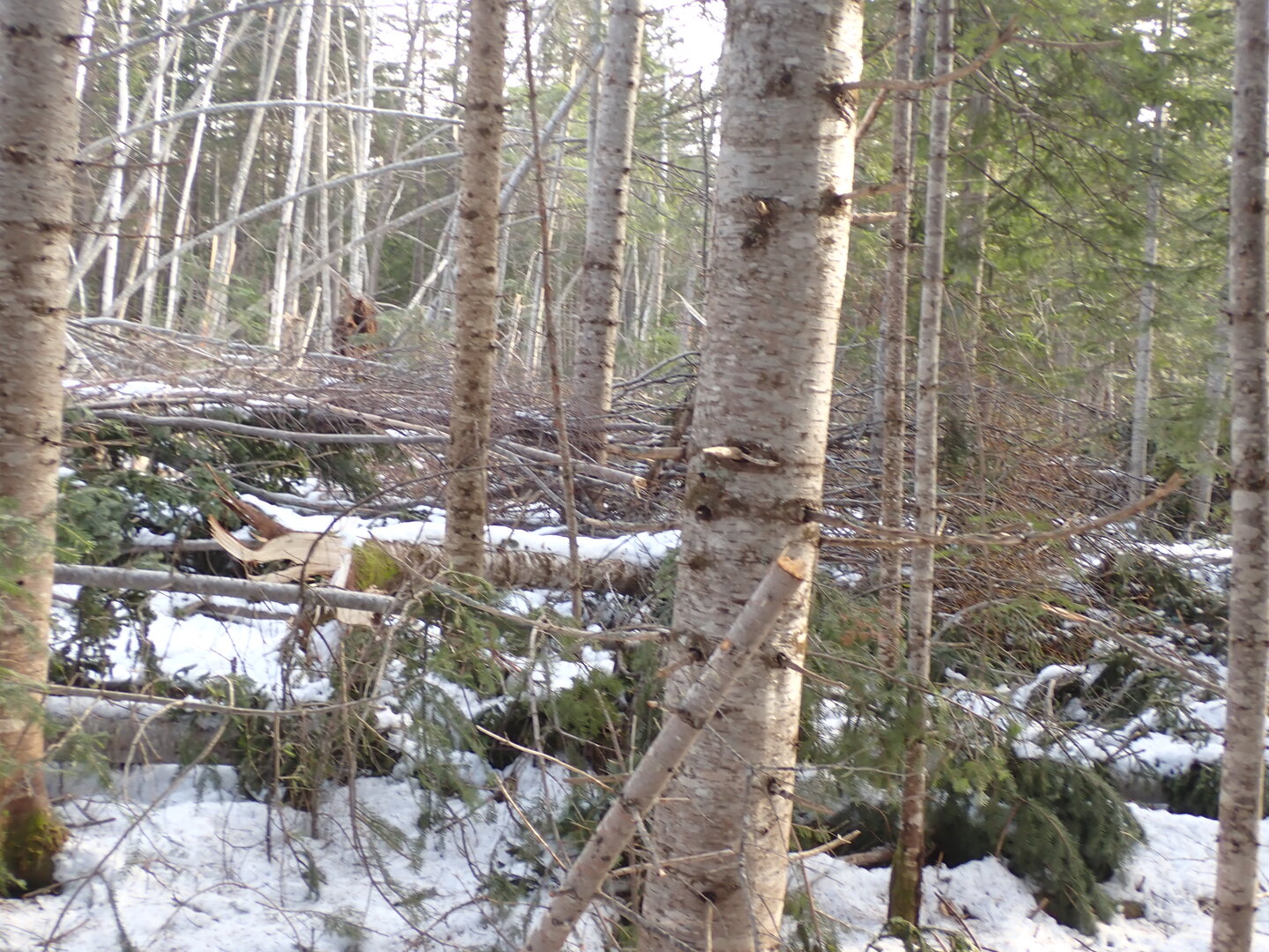 P1010245.JPG