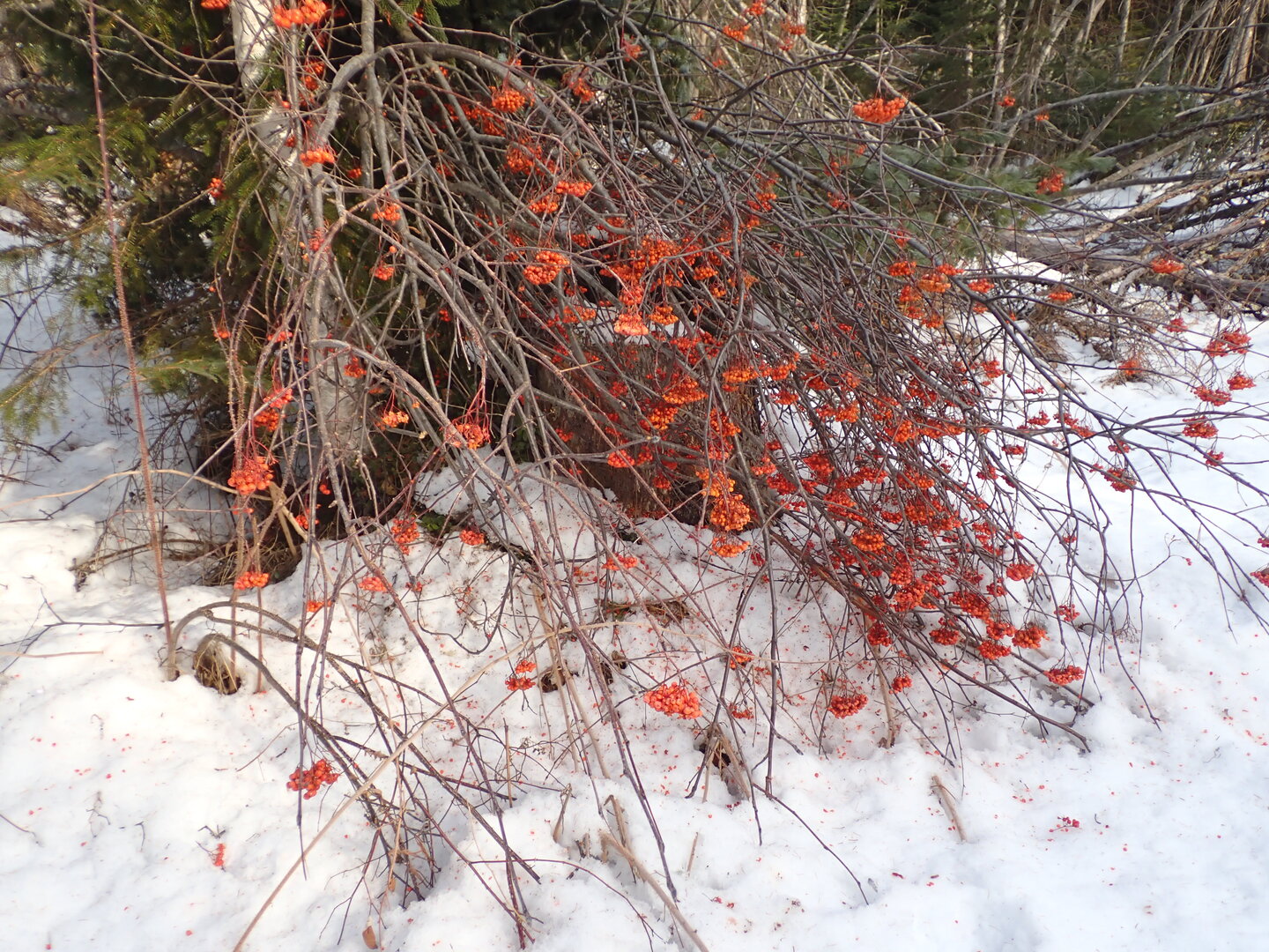 P1010249.JPG