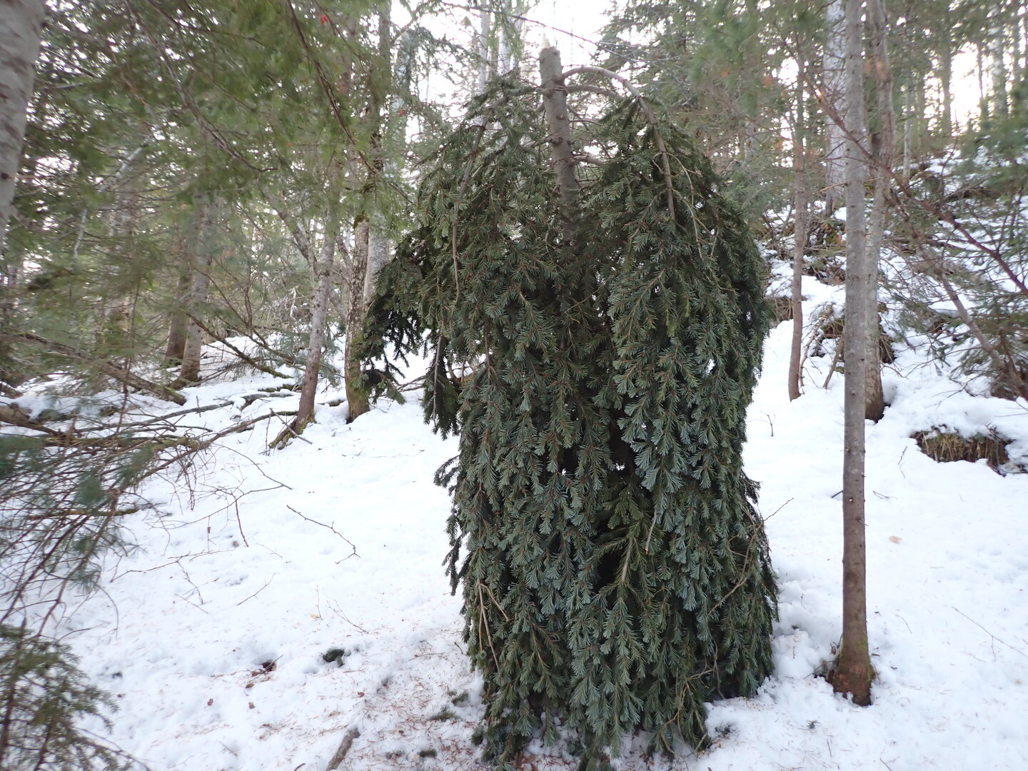 P1010253.JPG
