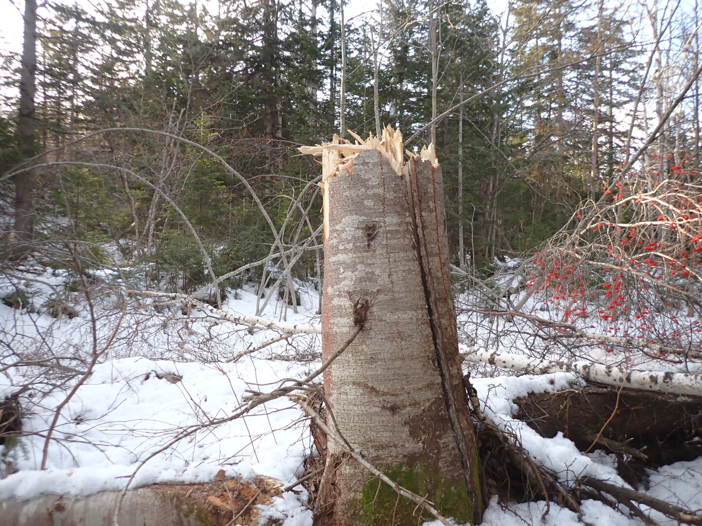 P1010254.JPG