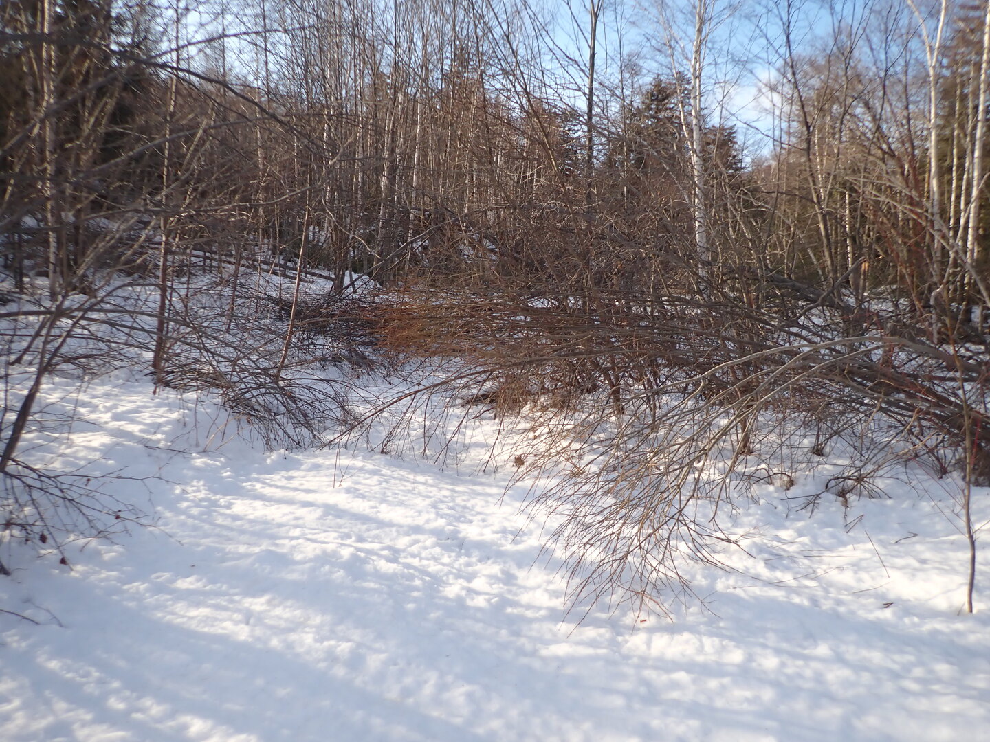 P1010256.JPG